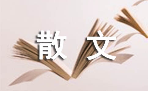 一个人的时候也要过好一个人生活散文