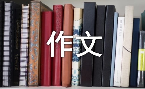 在规则面前我作文400字通用【10篇】