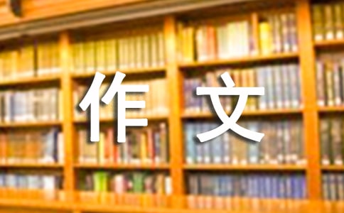 厨房交响曲作文300字(精选9篇)